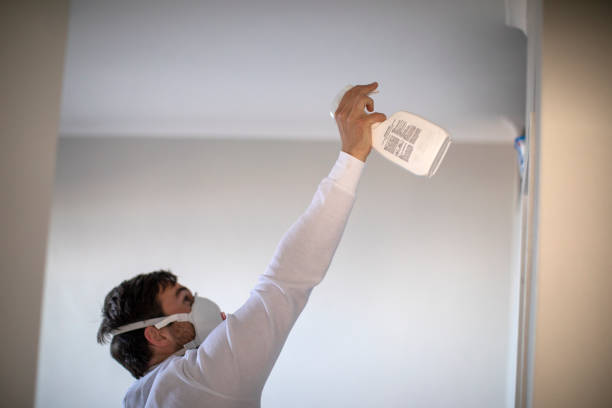 Best Mold Removal and Inspection  in Tucson Mountains, AZ