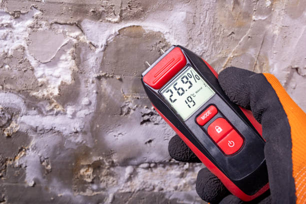 Best Professional Mold Removal  in Tucson Mountains, AZ