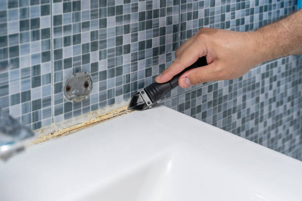 Best Emergency Mold Removal  in Tucson Mountains, AZ